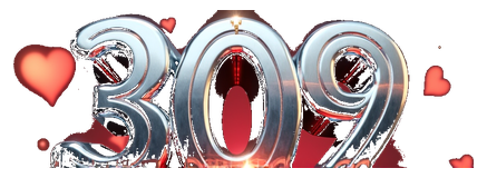 pk 309 logo